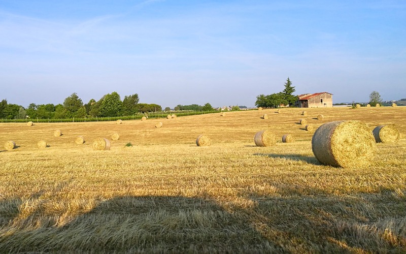 Piste ciclabili Colli Morenici Mincio